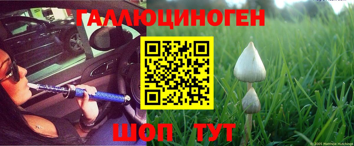 Псилоцибиновые грибы GOLDEN TEACHER Валуйки