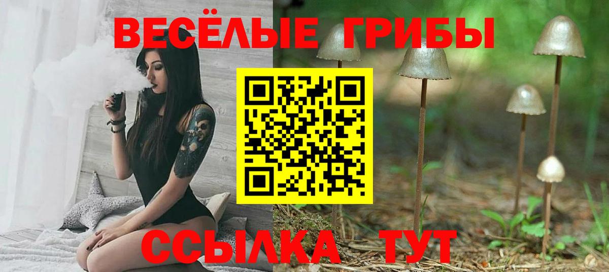 Галлюциногенные грибы Cubensis  Псилоцибиновые грибы MAGIC MUSHROOMS  Валуйки  Вход с VPN 